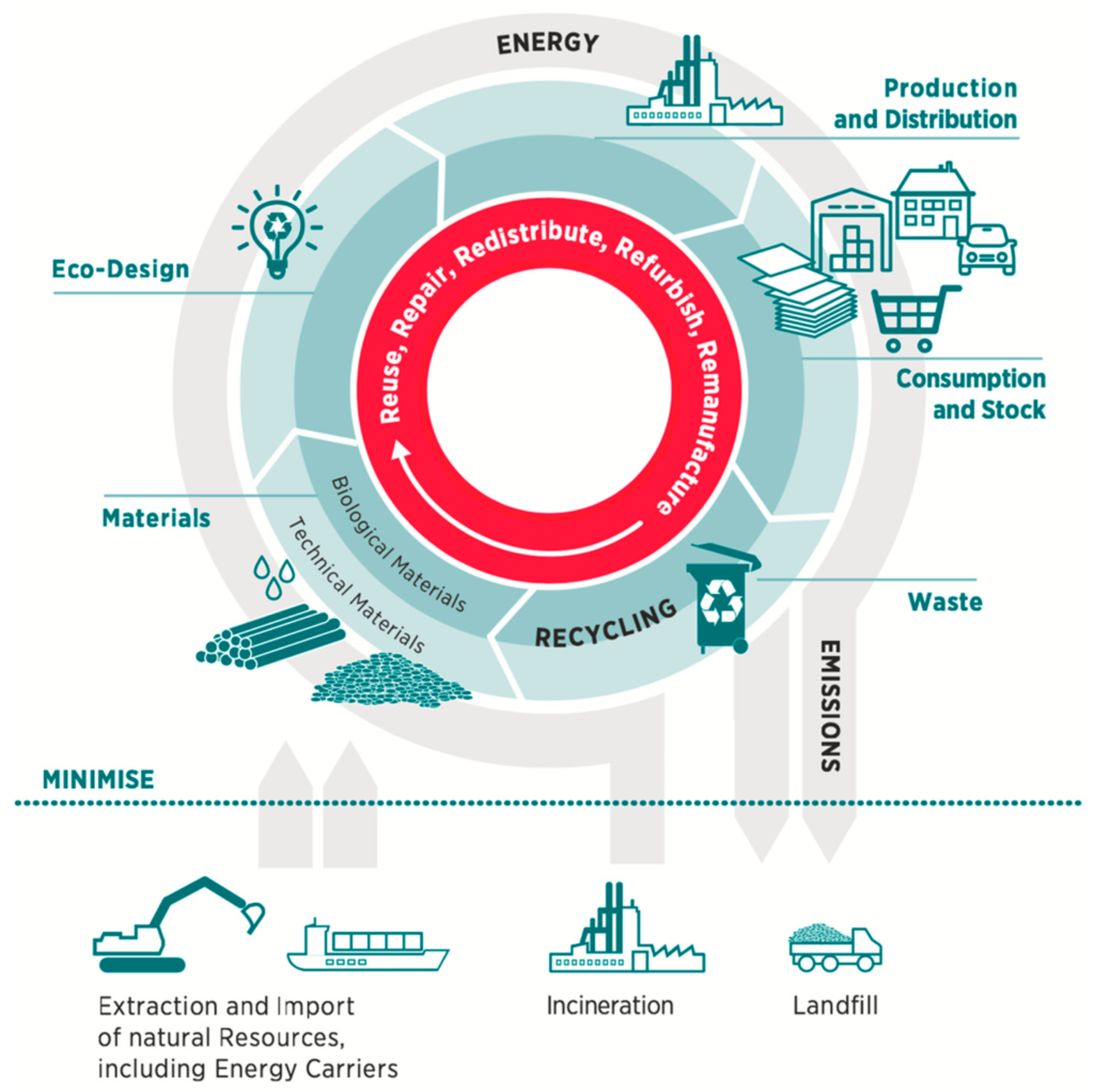 A simplified model of the circular economy